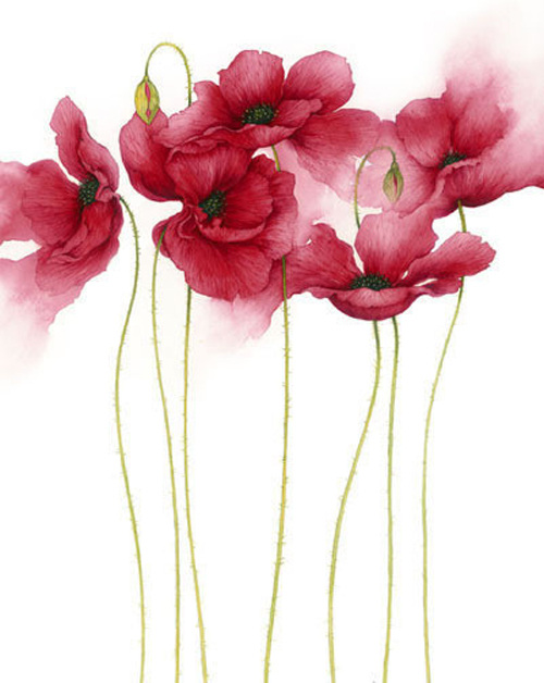 位图免费下载 服装图案 花朵 位图 写意花卉 野花 植物 面料图库 服装设计 图案花型
