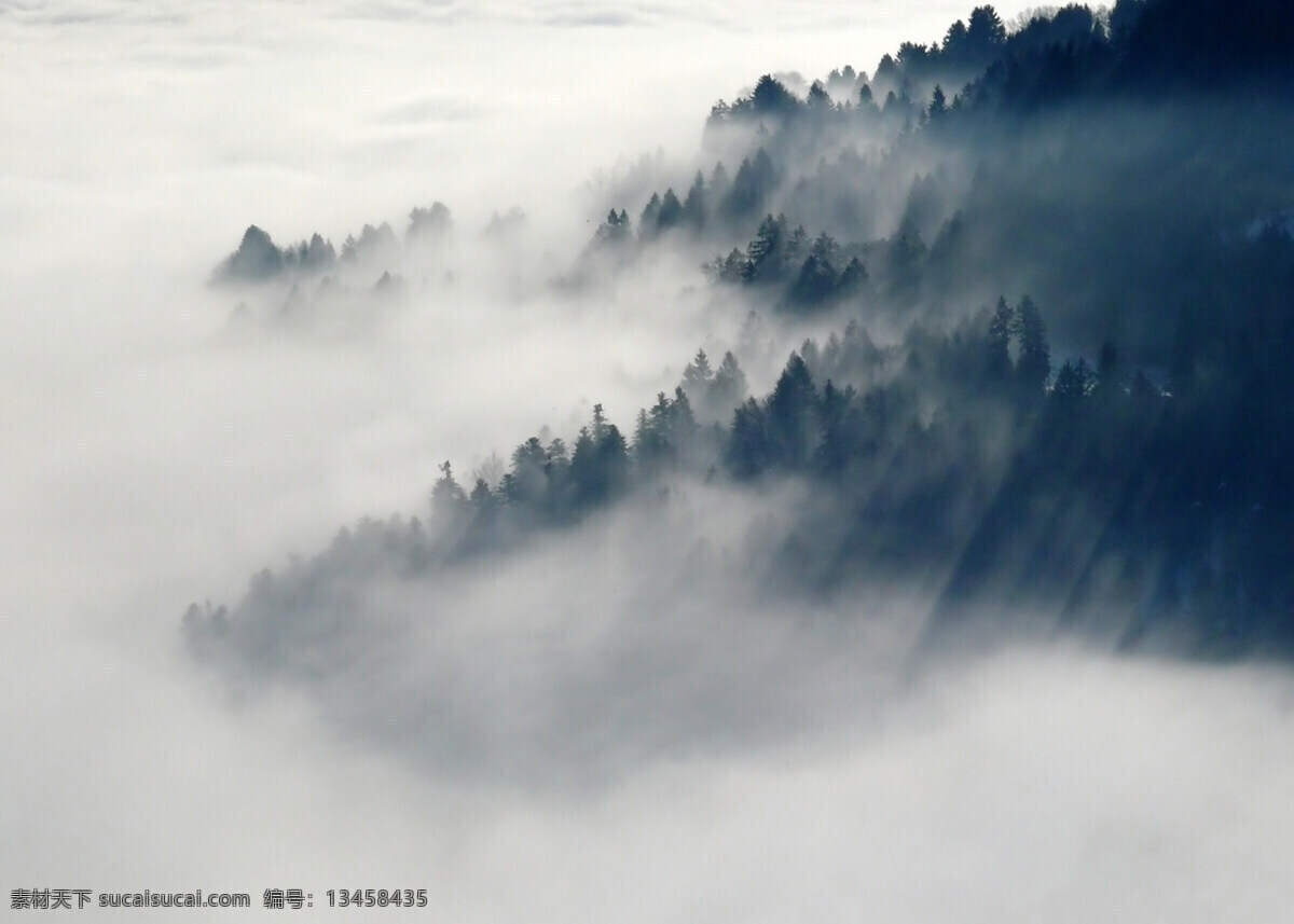 山林中的霧氣 霧氣 彌漫 霧氣彌漫 大氣 大霧 霧天 大霧天 山林 樹(shù)林 森林大霧 樹(shù)林大霧 霧中森林 霧中樹(shù)木 霧中花草 霧中草木 仙境 霧氣仙境 彌漫霧氣 山林大霧 森林樹(shù)木 生物世界 樹(shù)木樹(shù)葉