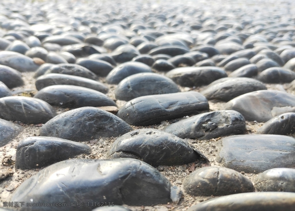 鹅卵石 石头 灰色 成片图片 成片 阳光下 自然景观 田园风光
