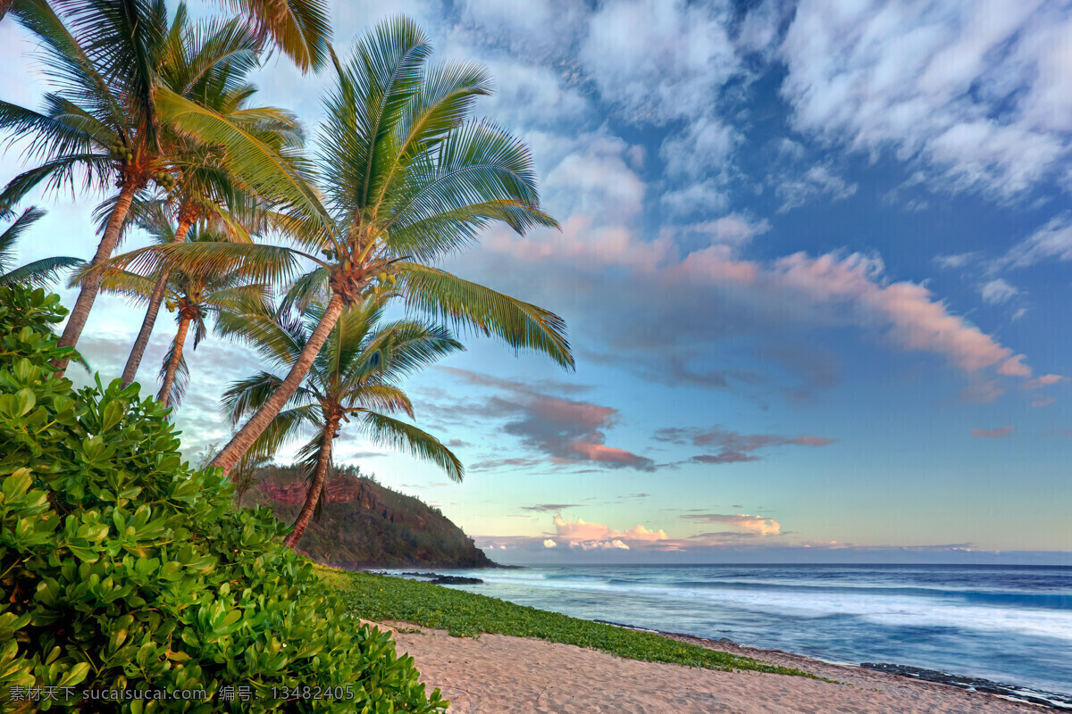 热带 风光 背景 素材图片 天空 白云 沙滩 大海 浪花 椰子树 植物 景区 景观 自然风光 休闲旅游 山水风景 风景图片