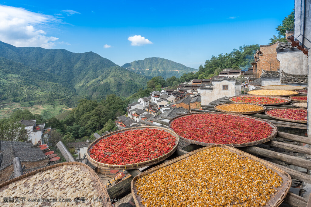 農(nóng)作物晾曬 屋頂晾曬 辣椒晾曬 玉米晾曬 自然風(fēng)景 鄉(xiāng)村風(fēng)景 山間村莊 傳統(tǒng)農(nóng)耕 秋收景象 田園風(fēng)光 農(nóng)村生活 鄉(xiāng)村屋頂 藍(lán)天白云
