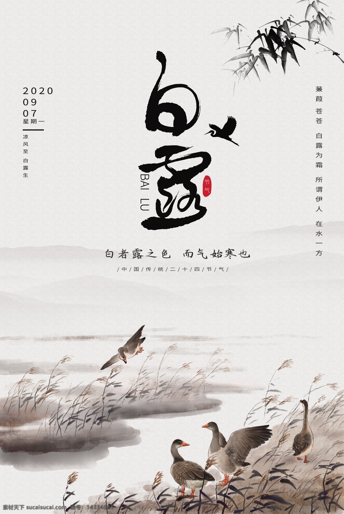 白露 传统节日 活动 促销 海报 传统 节日