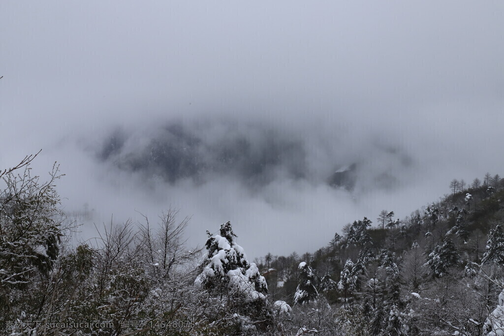 云雾缭绕 若隐若现 山谷 白雪 树木