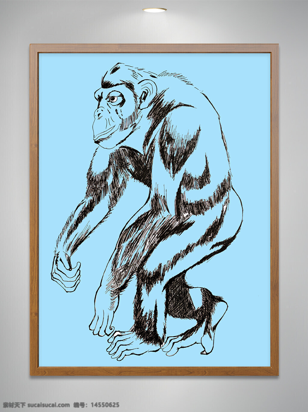 动物 大猩猩 手绘