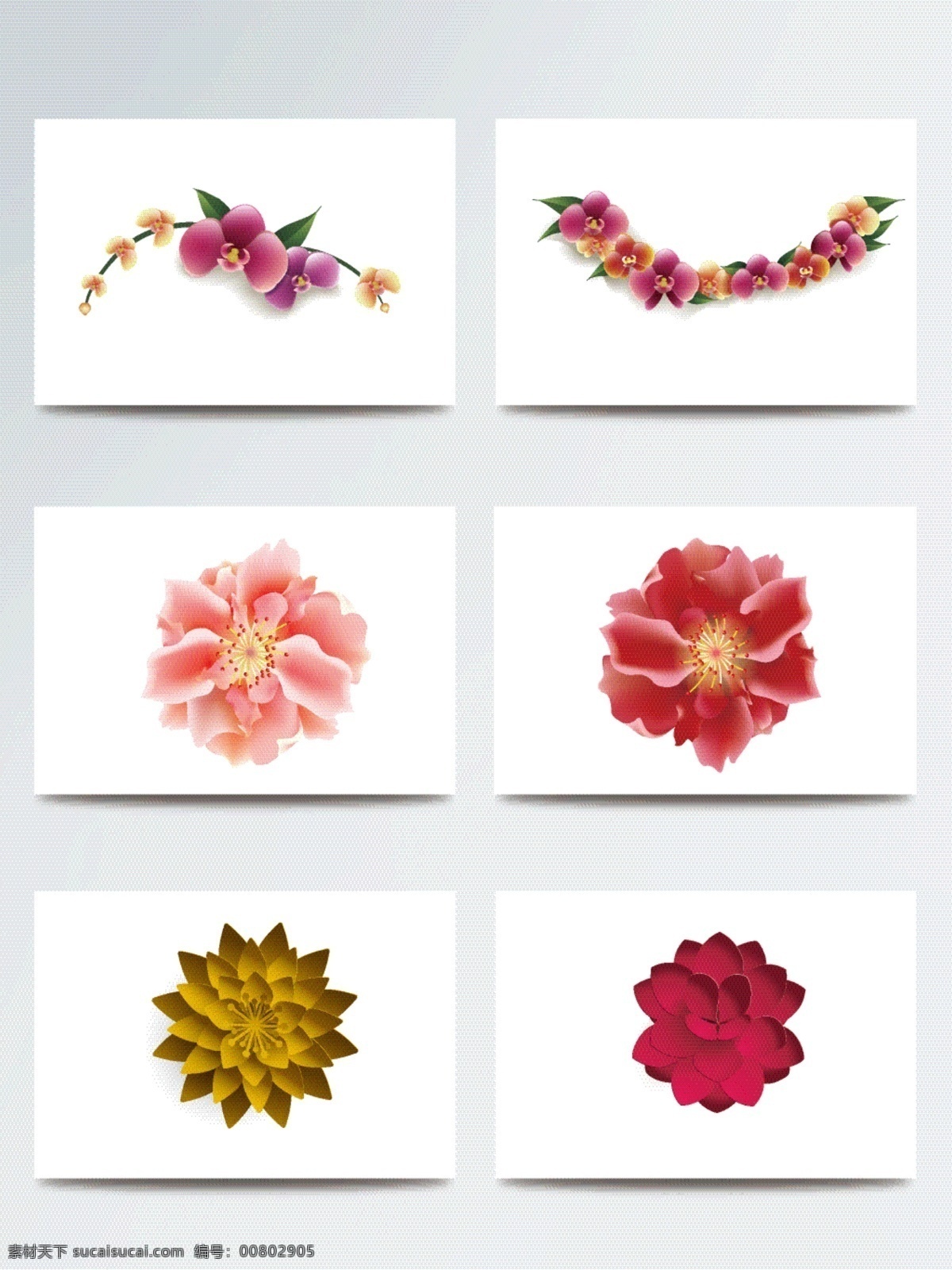 立体 节日 装饰 花朵 合集 红色 兰花 矢量 元素