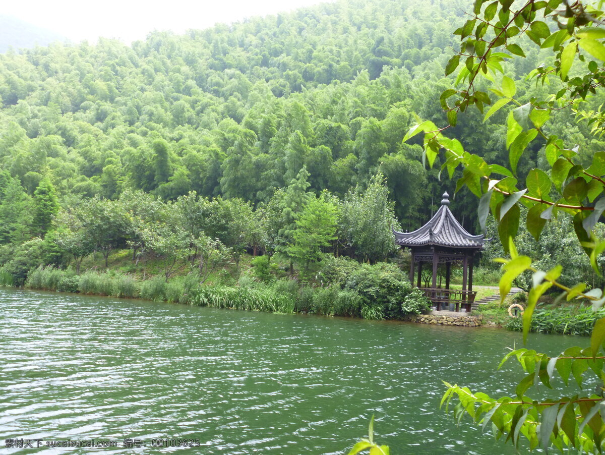 南山 竹海 风景 国内旅游 酒店 旅游 旅游摄影 天目湖 南山竹海 溧阳 矢量图 日常生活