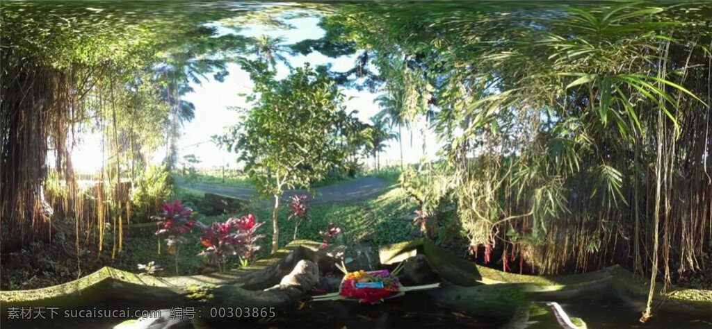 巴厘岛 完美 度假 vr 视频 虚拟现实视频 虚拟视频 vr全景 全景视频 vr视频 虚拟实境 实境视频 高清视频 视频素材 mp4 黑色