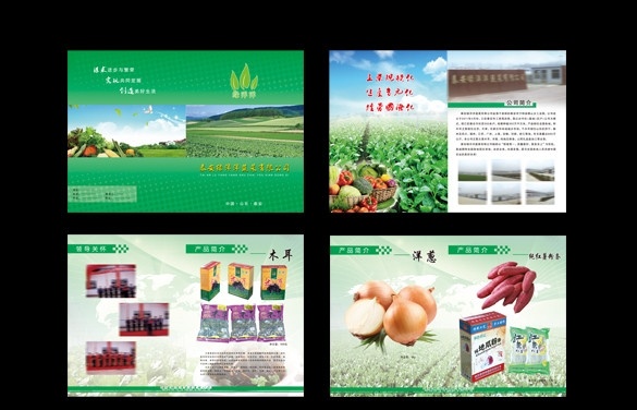 蔬菜宣传册 蔬菜基地 红薯 绿色背景 粉条 包装 蔬菜水果 画册设计 广告设计模板 源文件