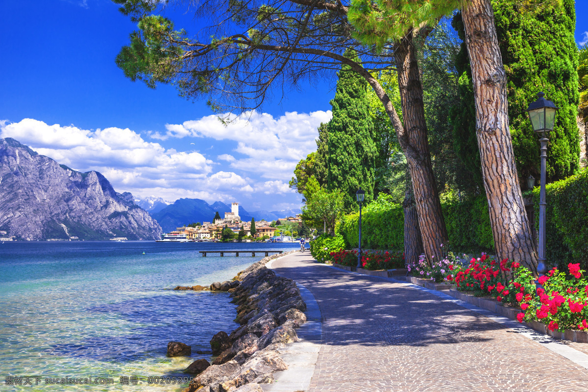 海边小道风景 自然风景 蓝天白云 海边景色 树木 花草 小道风景 海洋海边 自然景观 蓝色