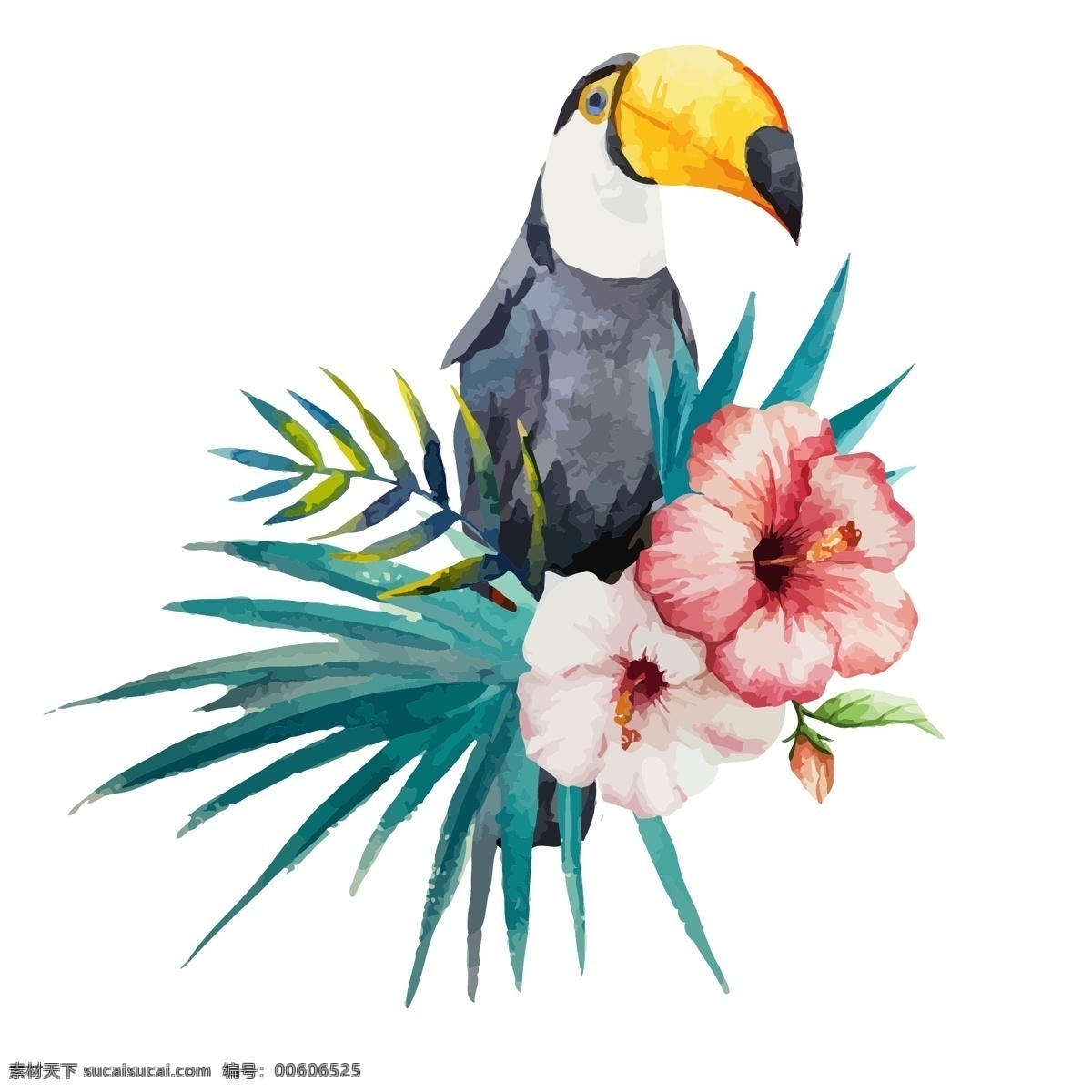 水彩 绘 可爱 大 嘴 鸟 插画 大嘴鸟 动物 花朵 热带 手绘 水彩绘 植物
