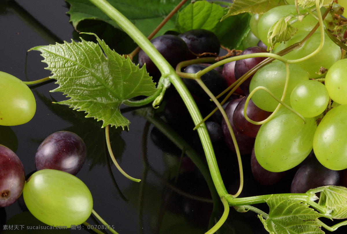 葡萄 叶子 提子 新鲜水果 水果摄影 果实 水果蔬菜 餐饮美食 水果图片