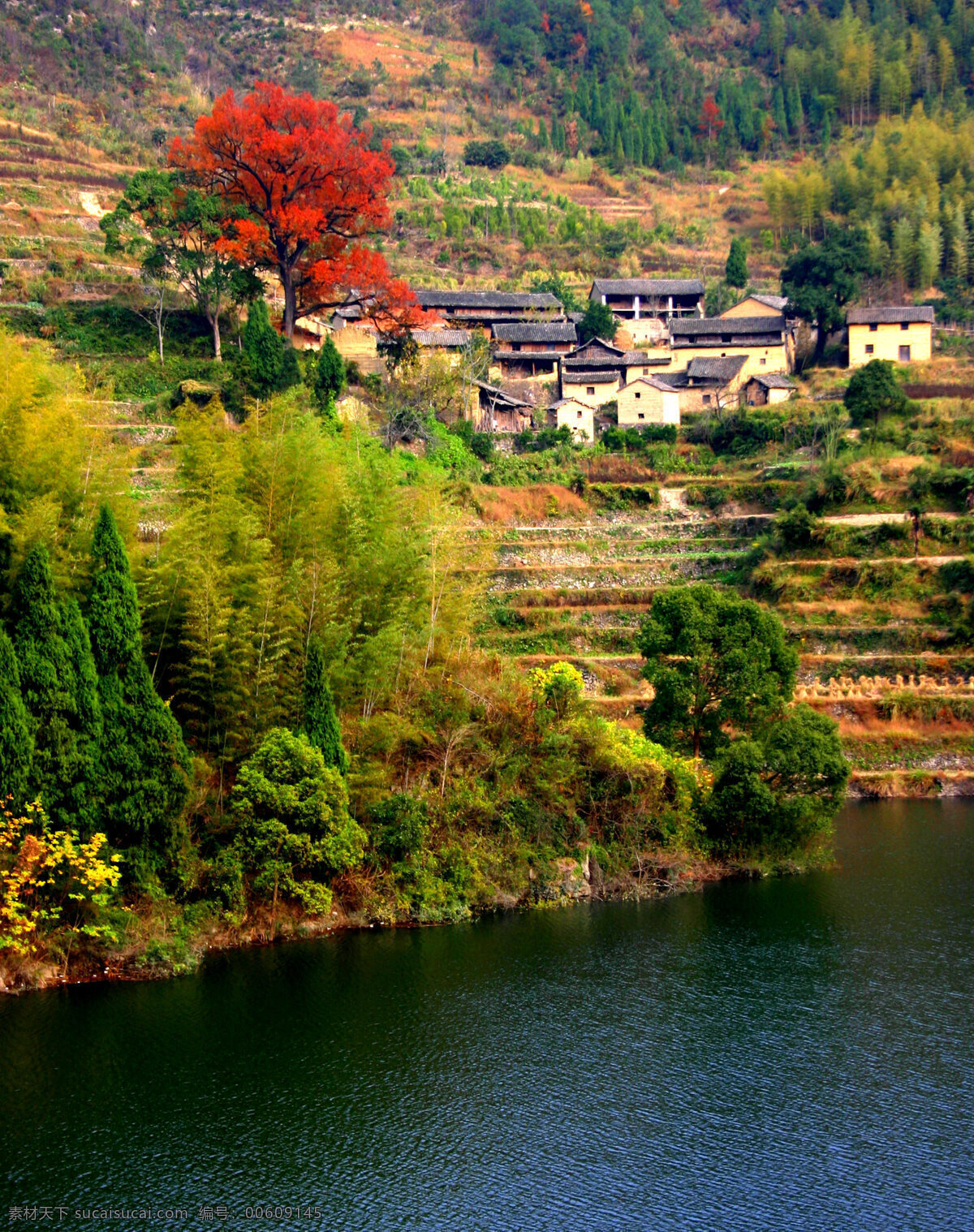 山村美景 山水 竹溪 仙居 美景 自然 自然景观 自然风景