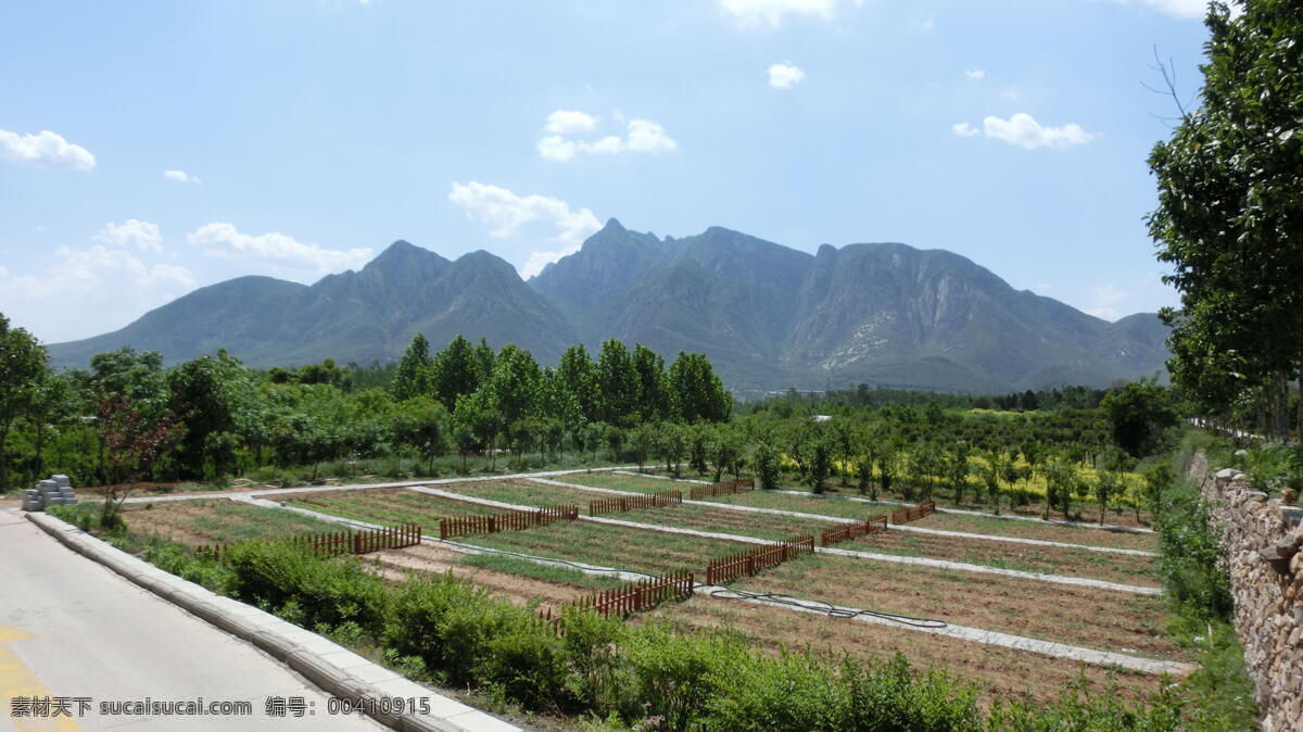 初夏 嵩山 景色 登封 少室山 园林 树木 道路 栅栏 蓝天 登封景物 旅游摄影 自然风景