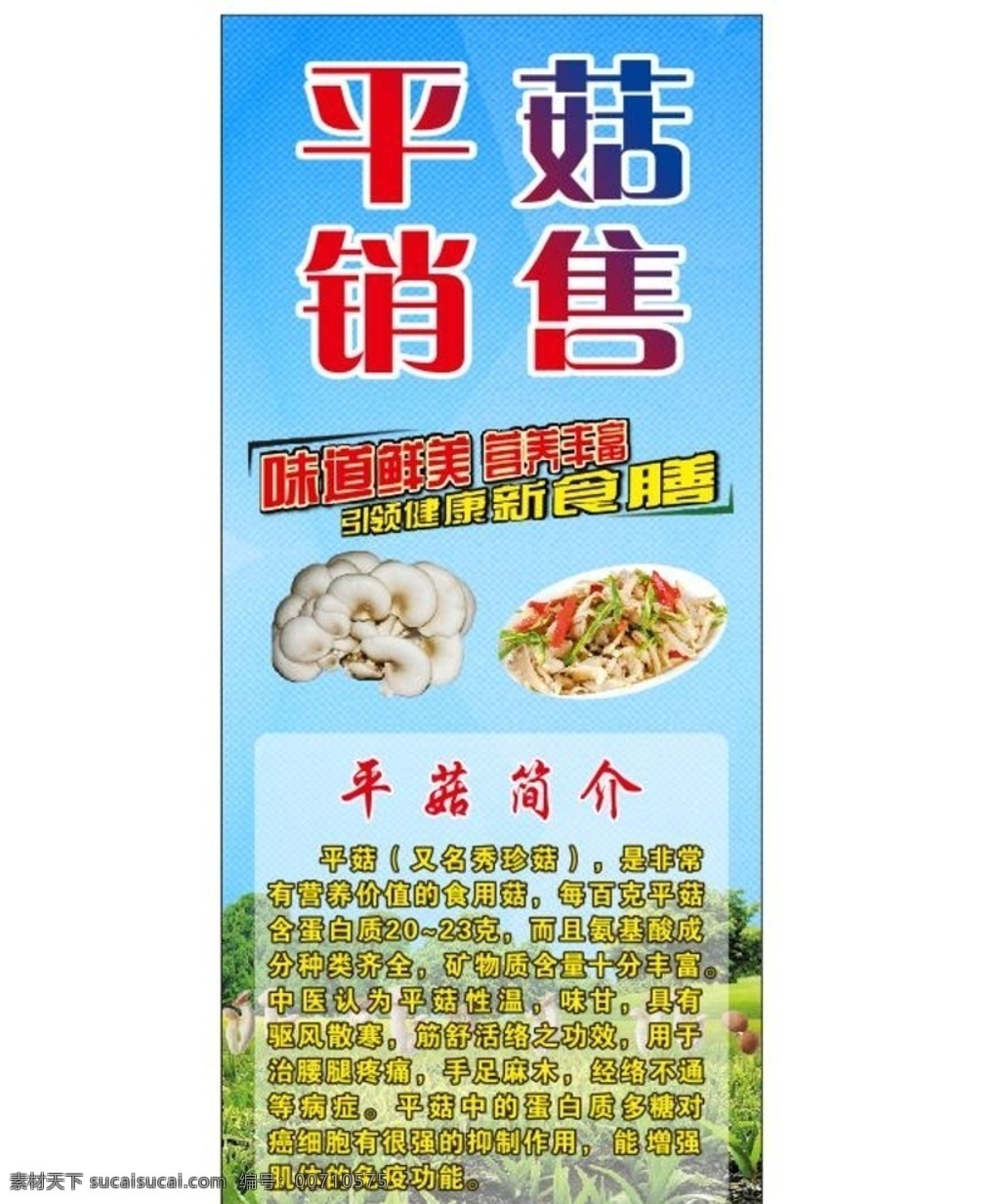 平菇销售 平菇图片 x展架 蓝色背景 菇类 高档背景 海报
