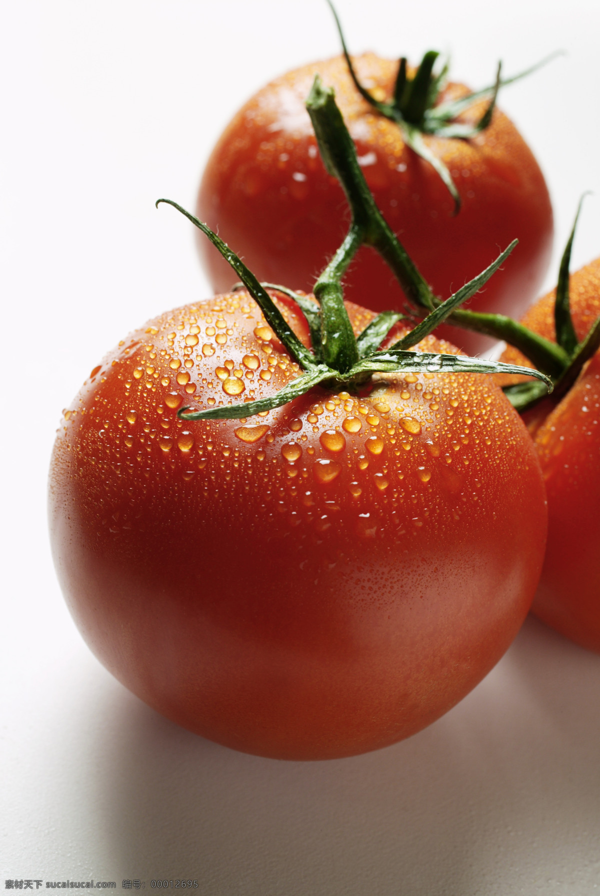 新鲜 西红柿 蔬菜 水果 成熟 红色 番茄 高清 生物世界