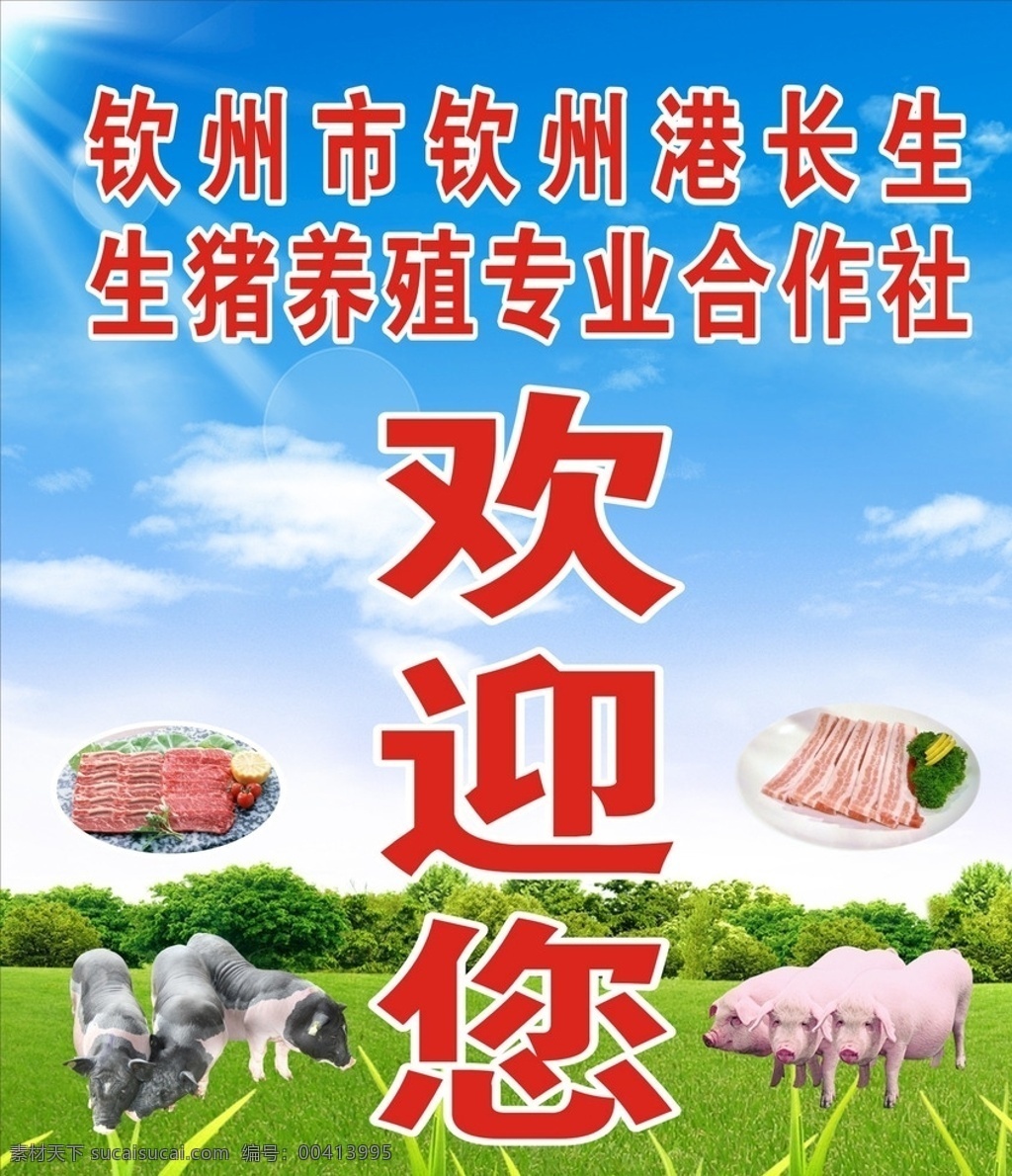 生猪 养殖 专业 合作社 欢迎 欢迎您 文化艺术 传统文化