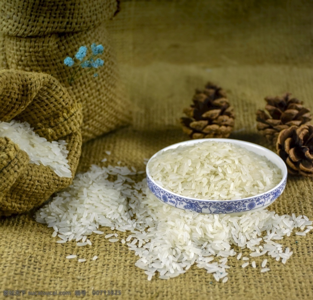米 大米 五谷杂粮 背景 插图 自然 麻袋 食品 餐饮美食 食物原料