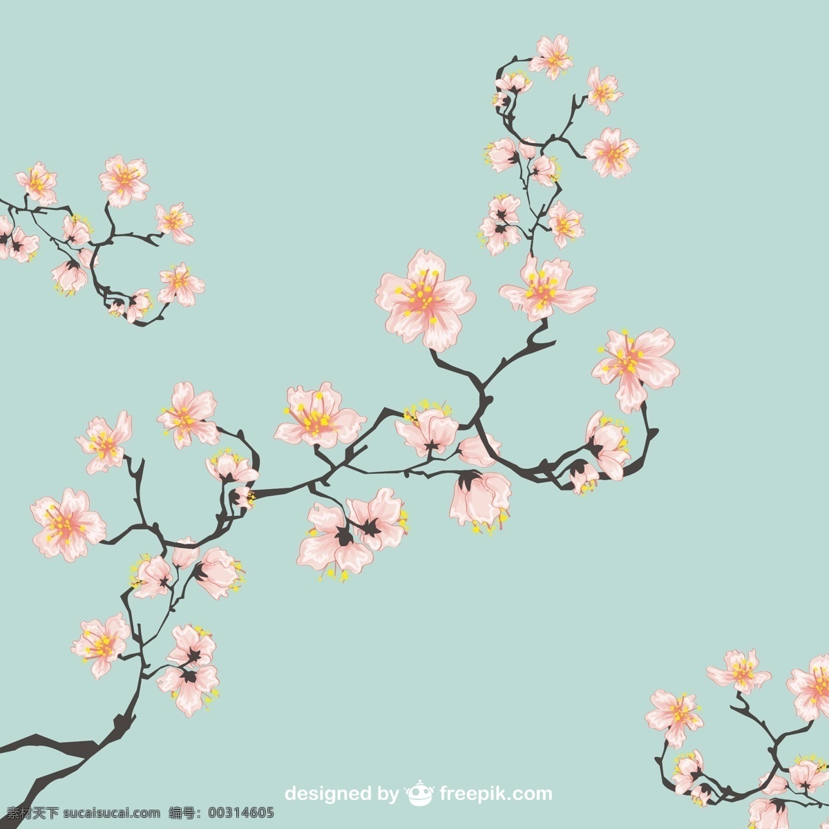 樱花插图 自然 日本 樱花 开花 插图 亚洲 植被 图标 高清 源文件