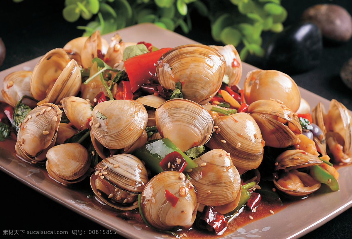 炒白蛤 海鲜 白蛤 美食 贝类 炒蚬子 白蚬子 菜品图 餐饮美食 传统美食