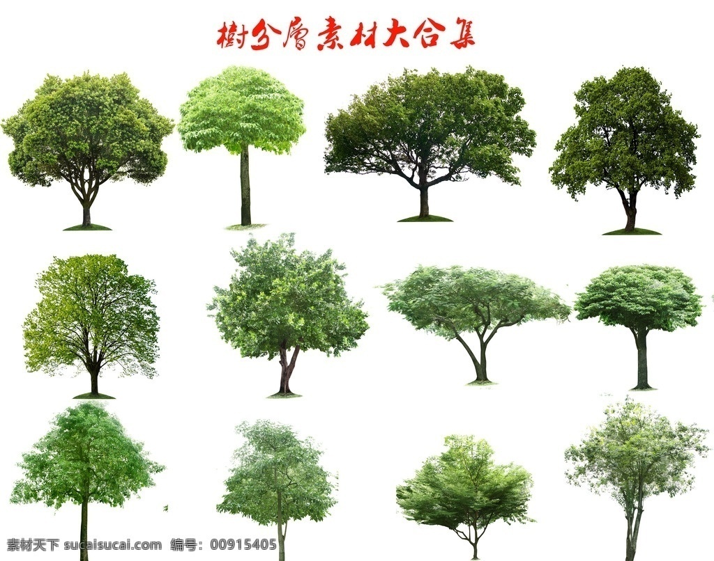 树 树素材 树素材合集 树素材全集 树素材大合集 树素材大全集 树分层素材 树全集 树合集 素材共享 分层