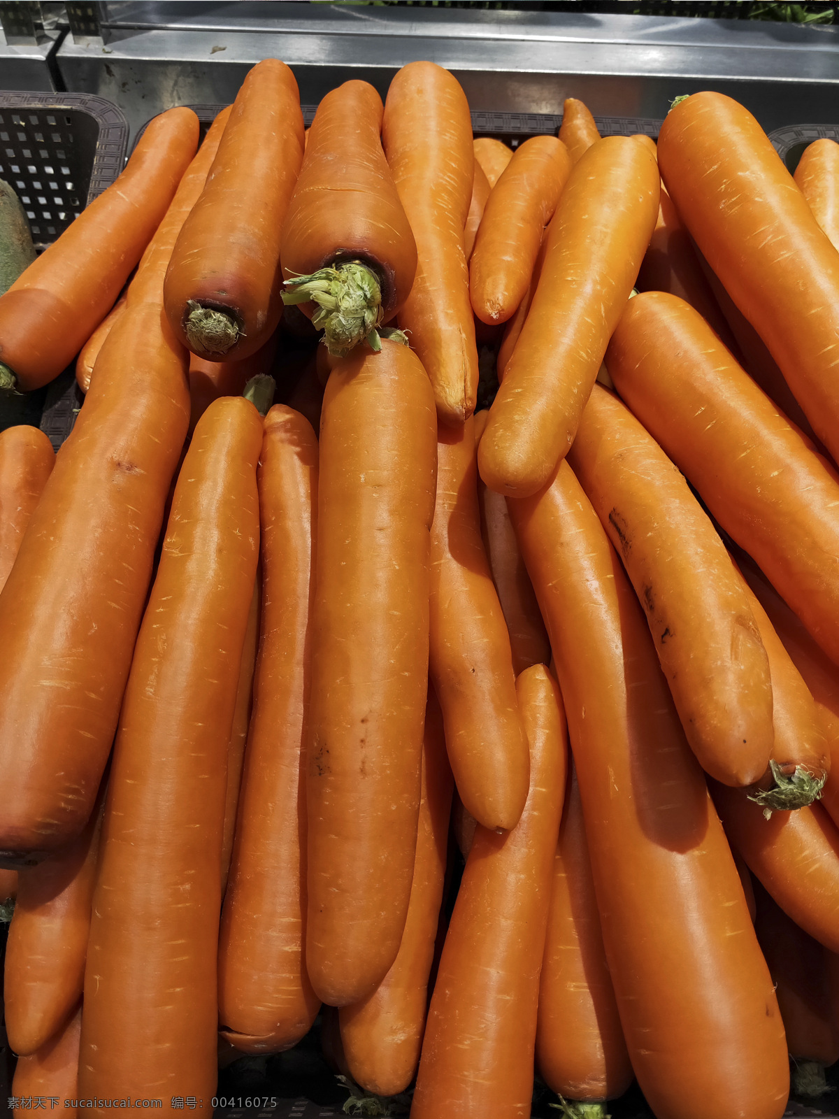 胡萝卜 蔬菜 超市 生态 有机 食物 厨房 美食 新鲜 原料 餐饮 餐饮美食 食物原料