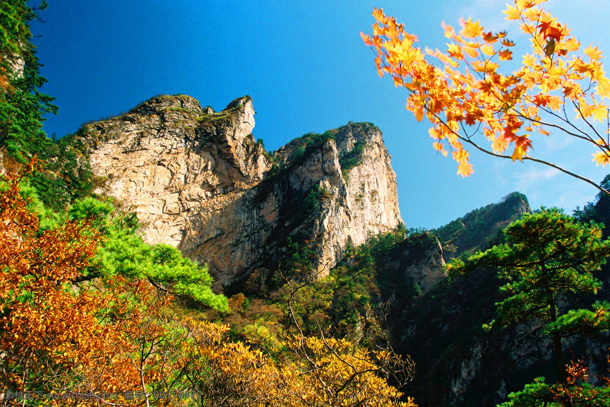 老界岭风光 老界岭 群山 树木 美景 山峰 自然风光 72pdi 自然景观 自然风景