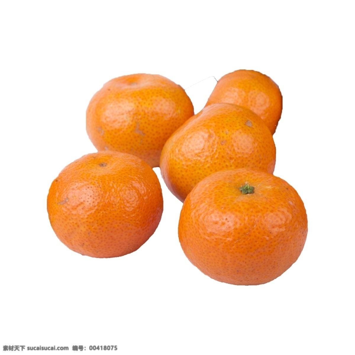 五 砂糖 橘 免 抠 五个砂糖橘 五个橘子 新鲜的橘子 好吃的水果 新鲜的水果