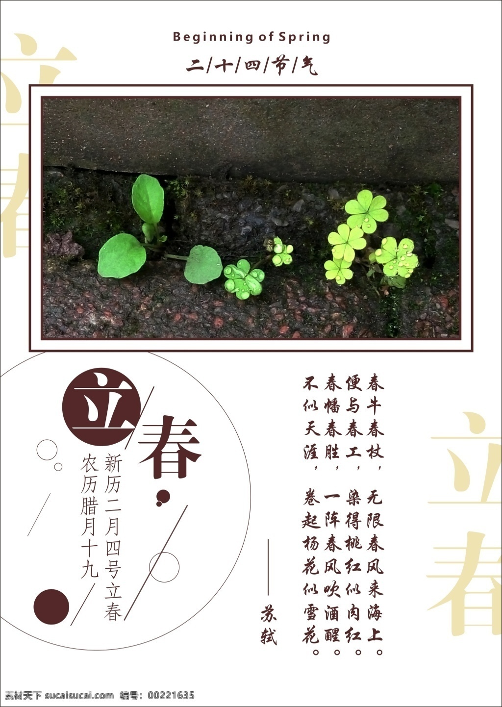 立春 清新 简约 海报 节气 节日 展板 自然