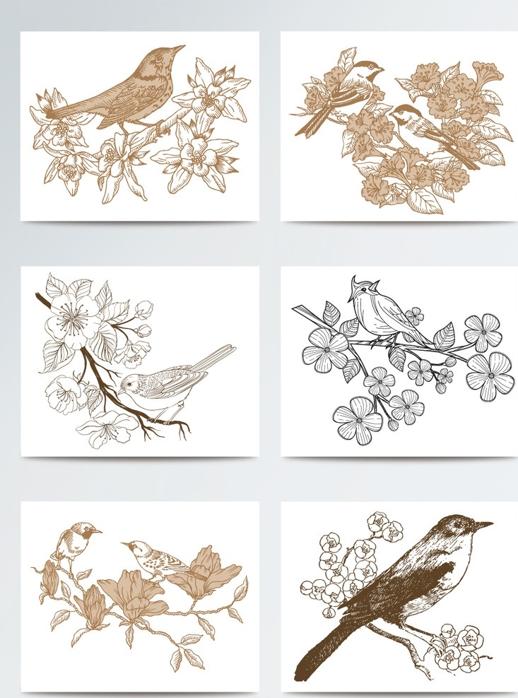 线 稿 桃花 鸟 插画 鹦鹉 小鸟 花卉 植物 花枝 装饰素材 飞舞 动物 彩绘鸟 手绘鸟 水彩鸟 卡通鸟 花鸟 鸟类 花鸟png 绘画图片 彩色鸟 装饰画素材 水彩花鸟 花鸟手绘 水彩手绘 设计素材 矢量 卡通素材 麻雀 唯美卡通 花鸟鱼虫 动漫动画