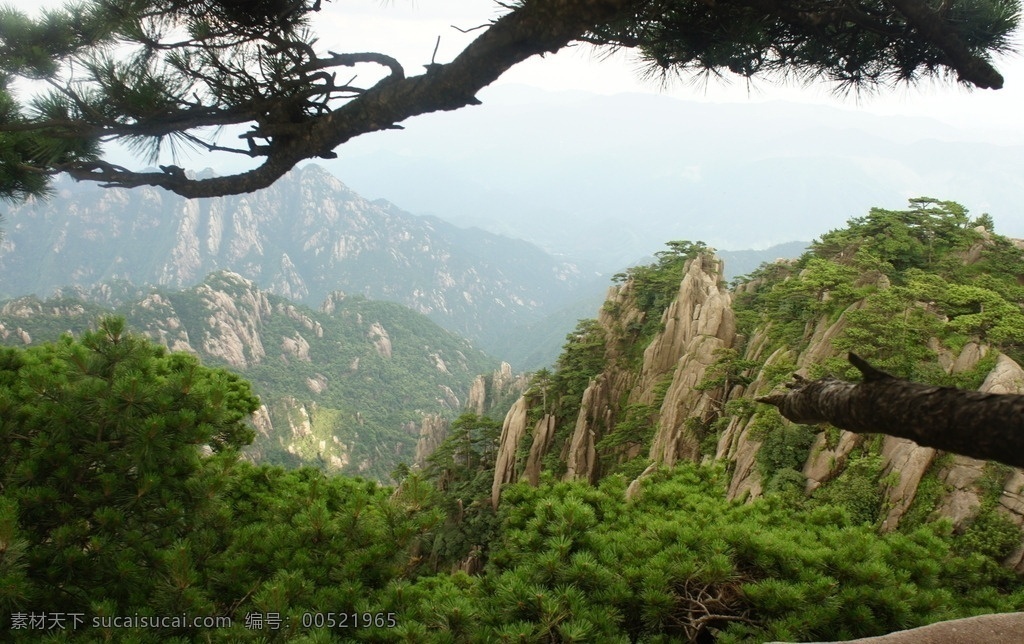 黄山风光 黄山旅游 黄山美景 黄山云海 旅游 云海 松树 高山 风景名胜 自然景观 安徽黄山 黄山秋色 黄山 安徽旅游景点 黄山景色 黄山山峰 山峰
