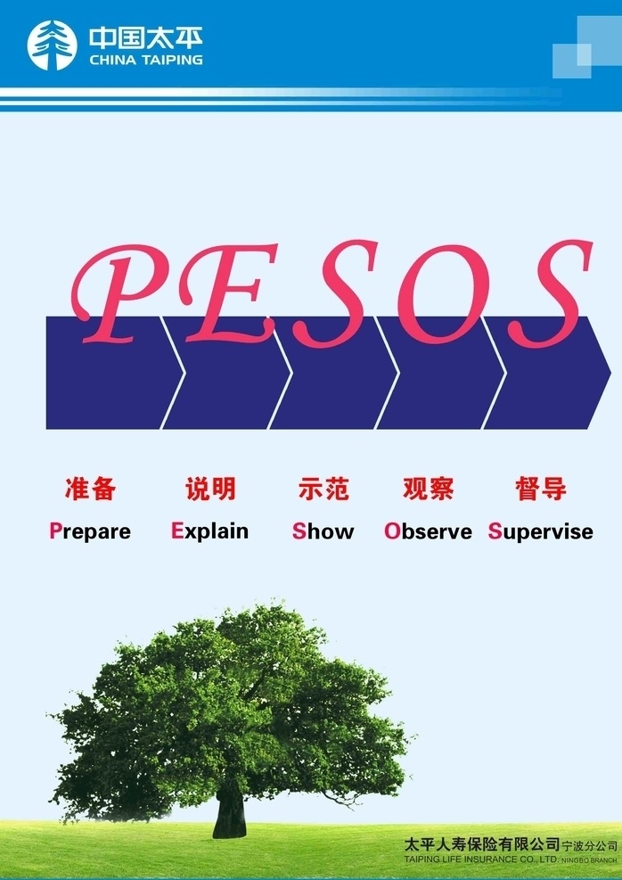 中国太平 太平树 保险 pesos 培训 人才 海报 说明 介绍 公司
