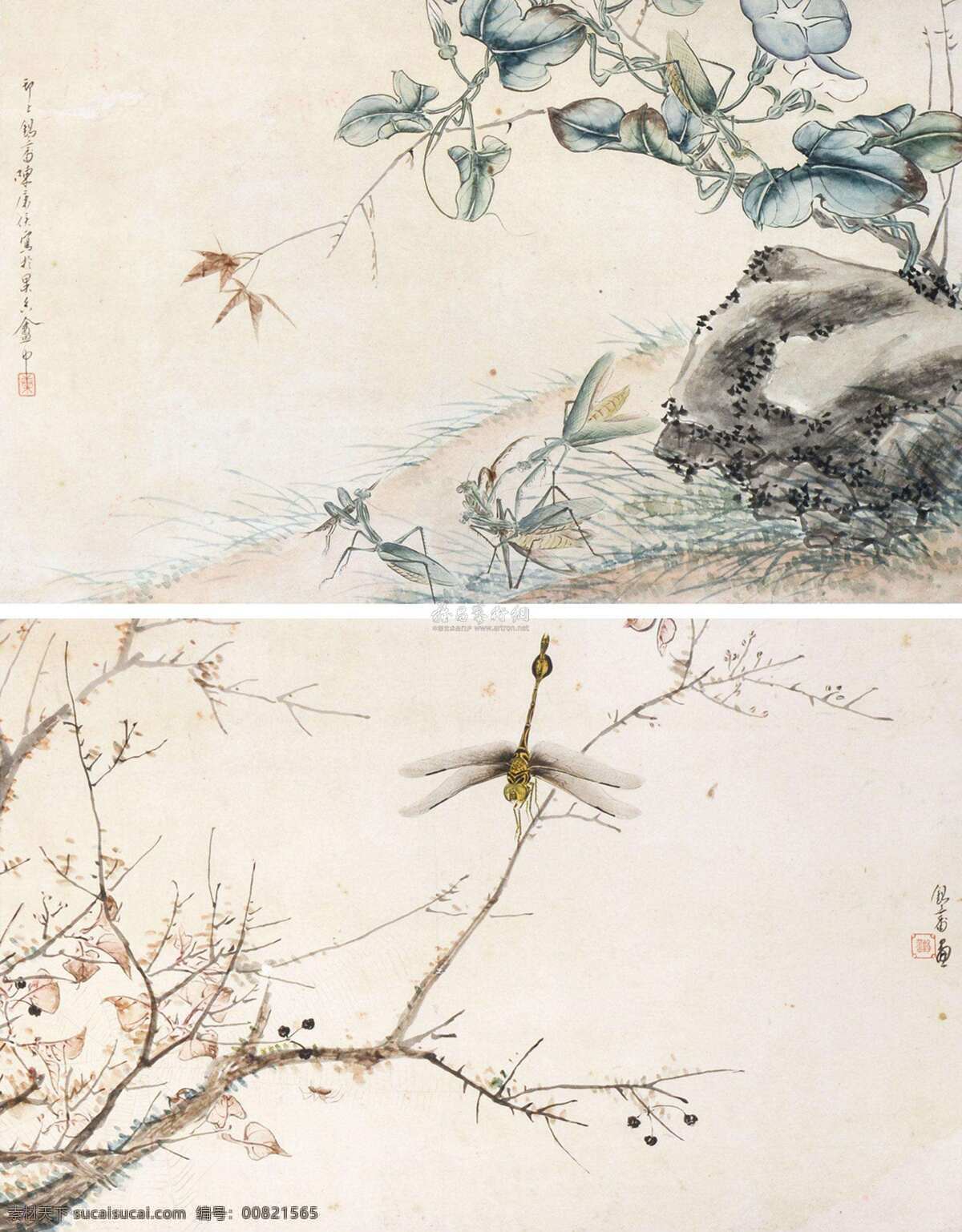 花鸟画 花卉 工笔画 中国画 古画 文化艺术 绘画书法