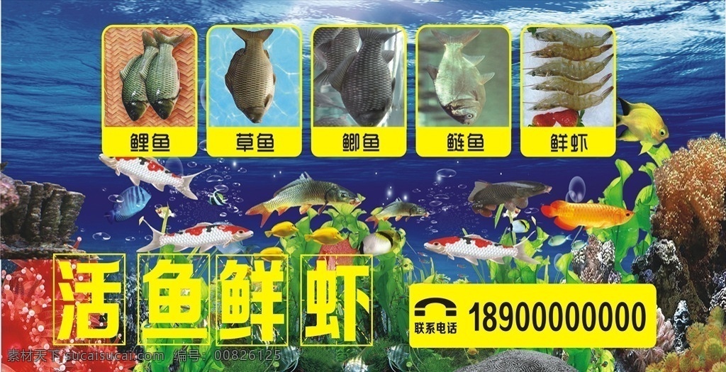 海鲜广告 鱼广告 虾广告 鱼虾广告 海底广告