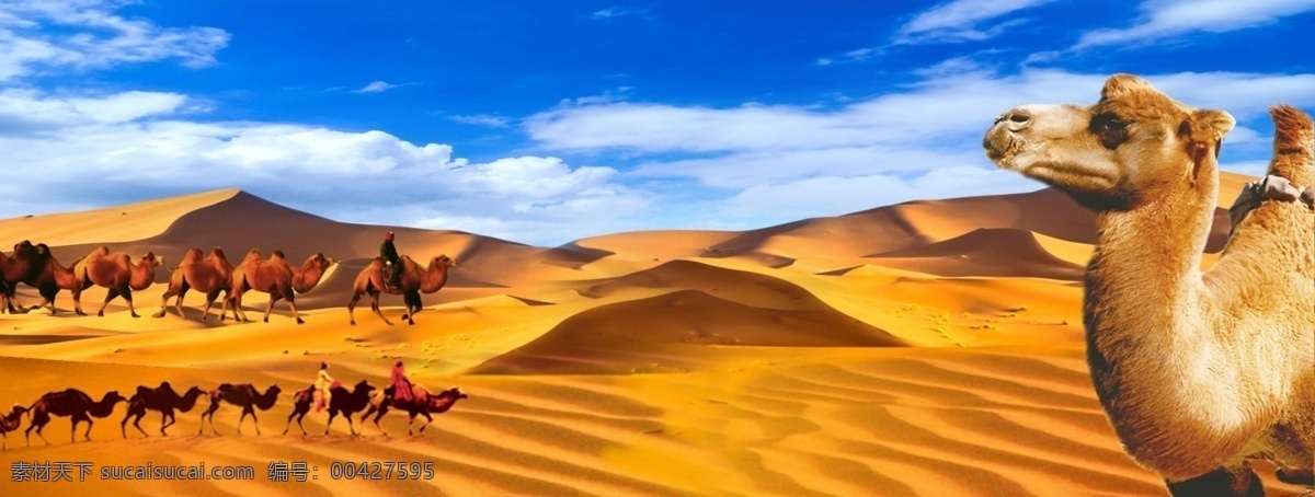 沙漠骆驼图片 沙漠 骆驼 蓝天 沙漠地区