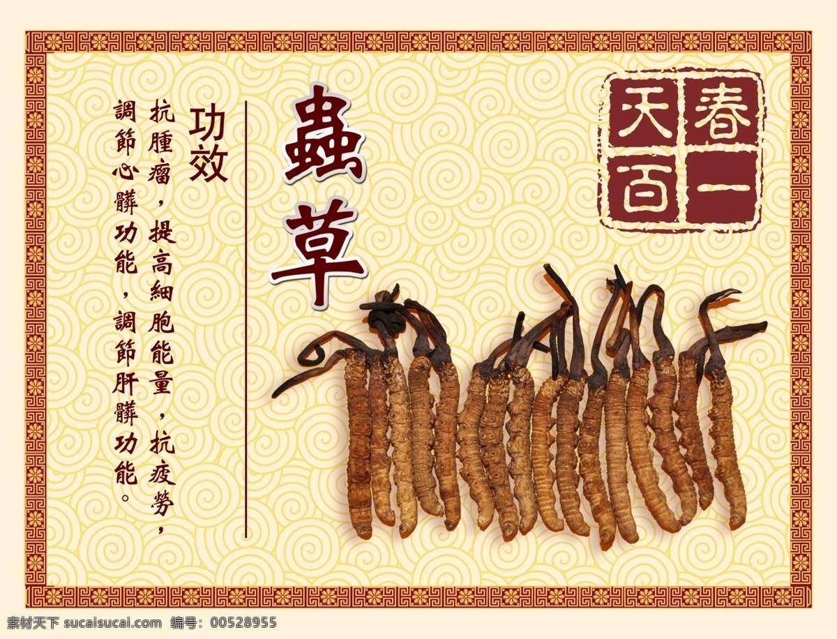 虫草 宣传 招贴 精彩热门 海报 其他海报设计
