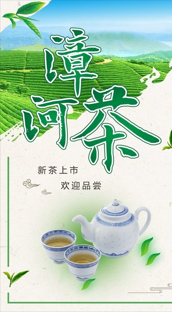 茶壶 新茶 茶叶 新茶上市