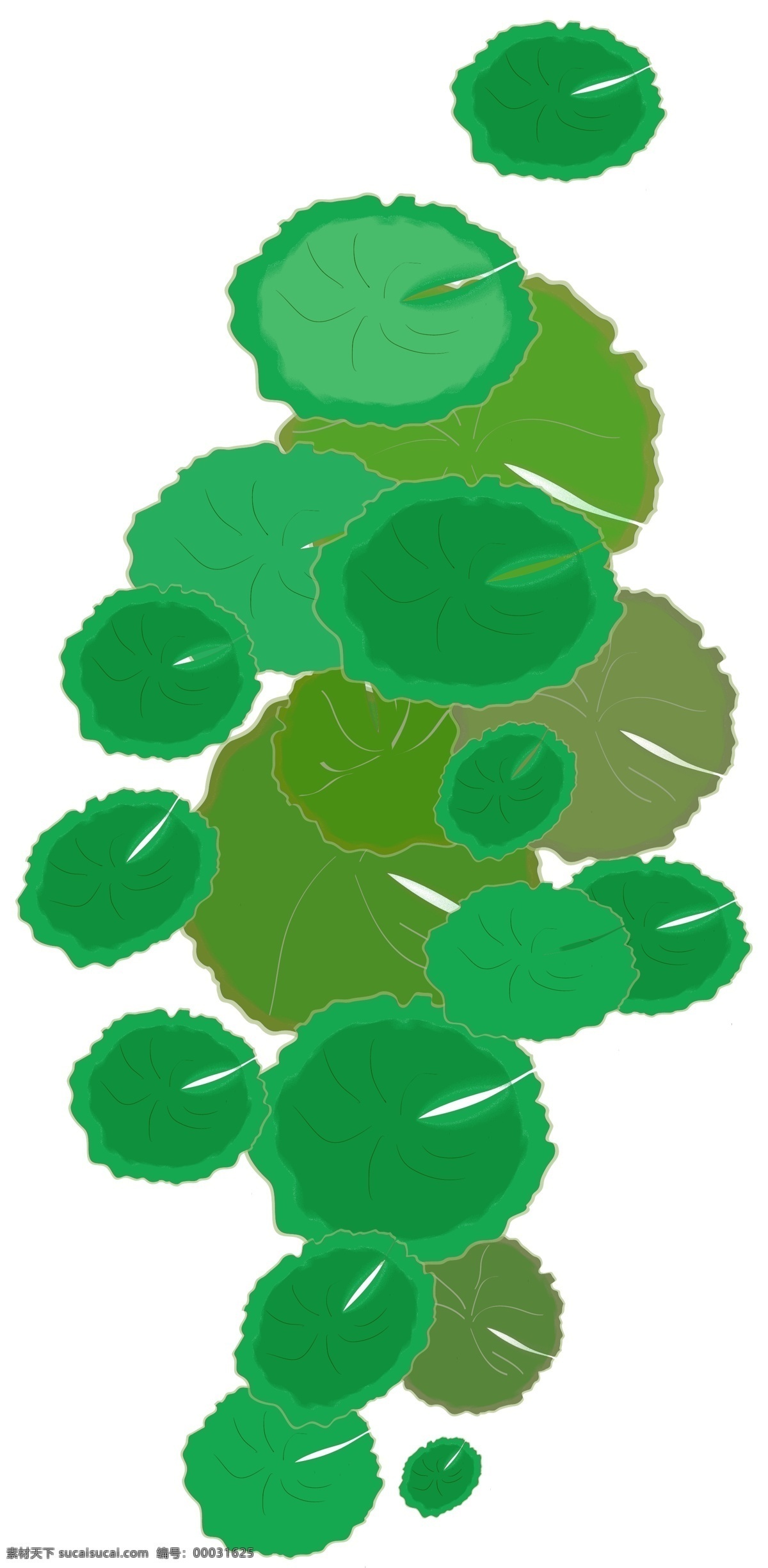 矢量 手绘 绿色 荷叶 深绿色 圆形 荷花 荷塘 水塘 池塘 免扣 植物 莲藕 水珠