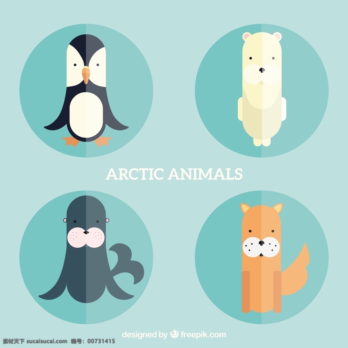 平面设计 中 北极 动物 自然 卡通 冬季 平坦 熊 海豹 企鹅 冷 卡通动物 野生 北极熊 青色 天蓝色