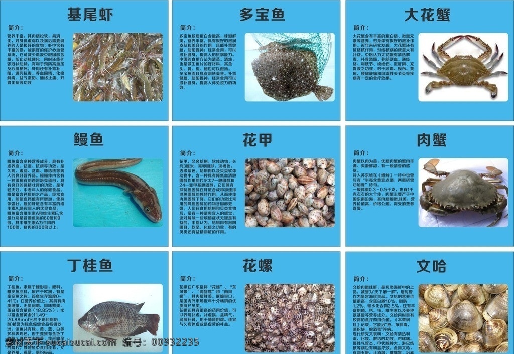 海鲜 餐饮 介绍 饮海鲜图片 鳗鱼 花甲 多宝鱼 大花蟹 文哈 dm宣传单 矢量