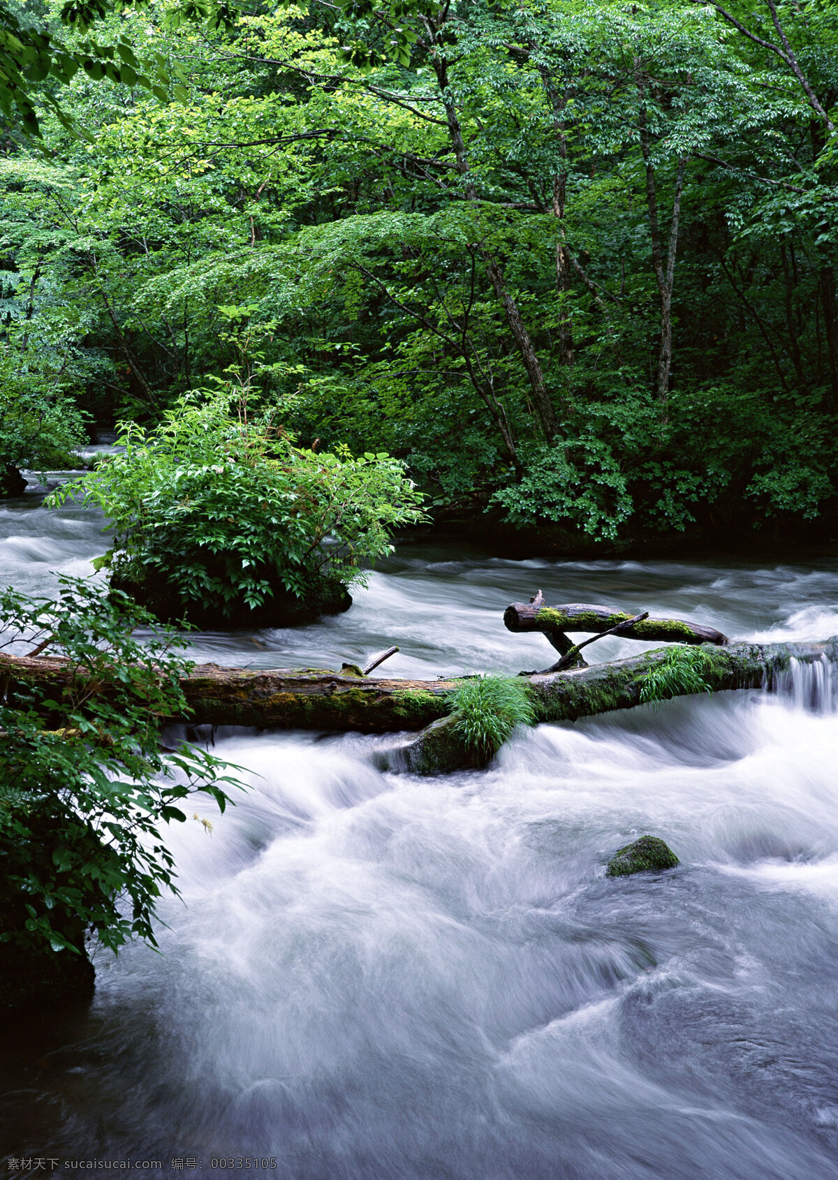 湍急的流水 自然 风景 水花 水雾 溅出 湍急 急流 河流 自然风景 自然景观 黑色