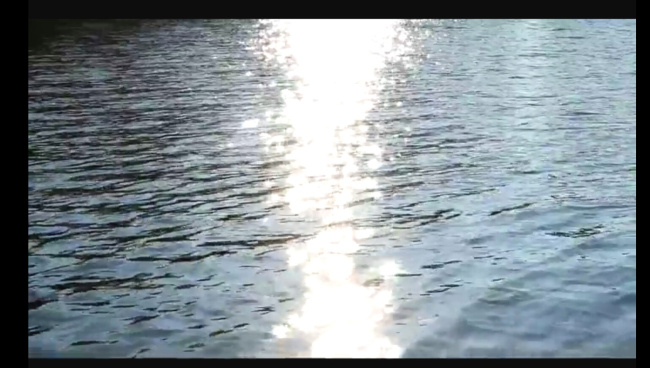 阳光 水面 视频 多媒体设计 风景视频素材 视频素材 源文 水面视频素材 湖水视频素材 水波视频 波光 背景 实拍视频