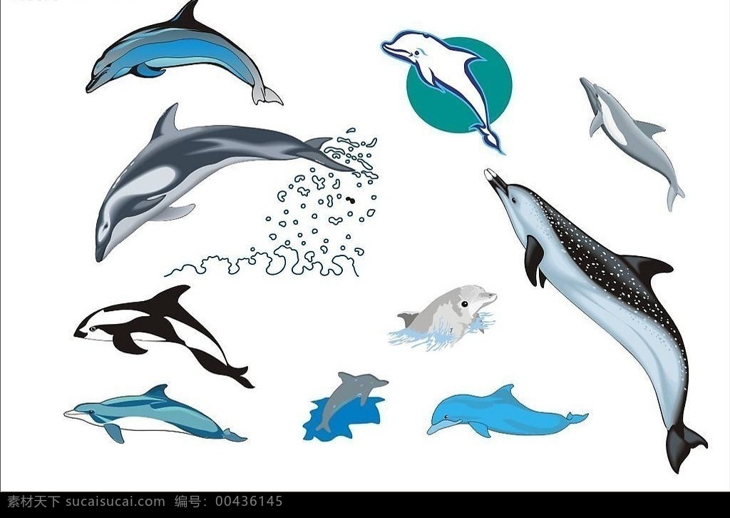 精选 coreldarw 海洋生物 矢量图 海豚 生物世界 矢量 动物 矢量图库