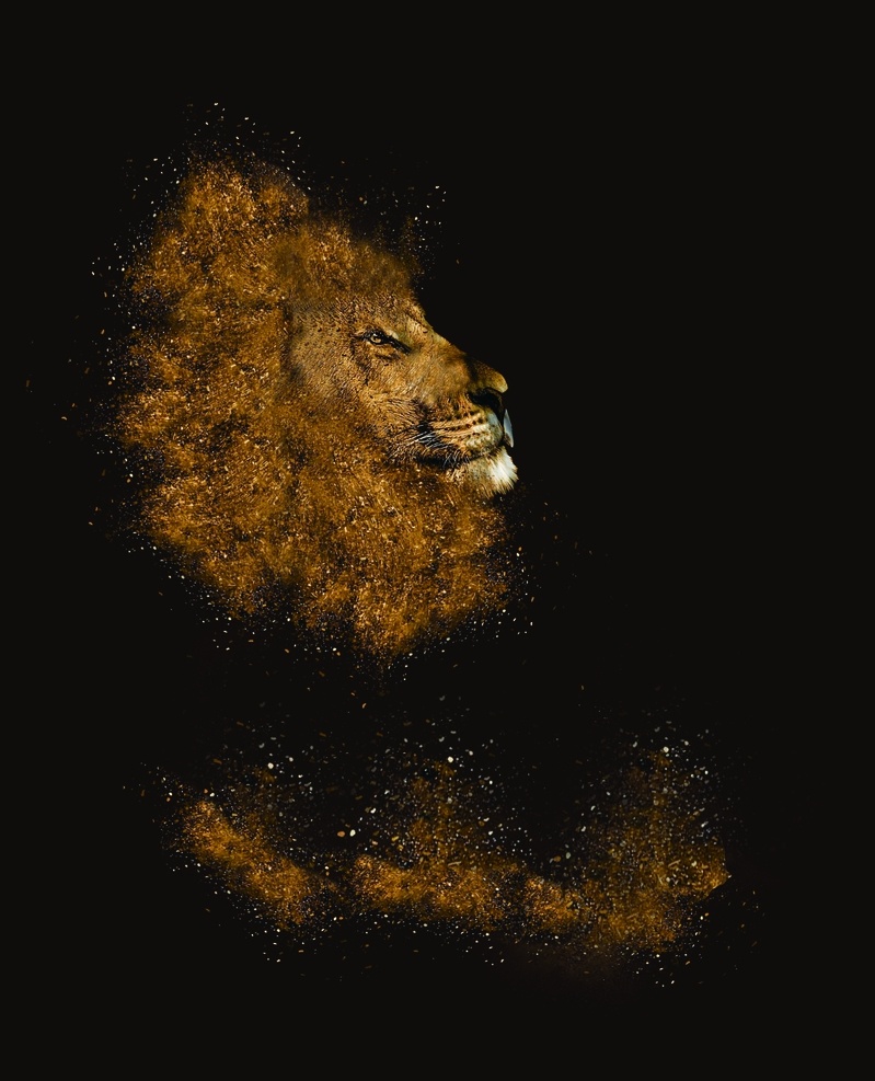 狮子王 狮子 狮子头 颗粒感狮子头 黄狮子头 大狮子