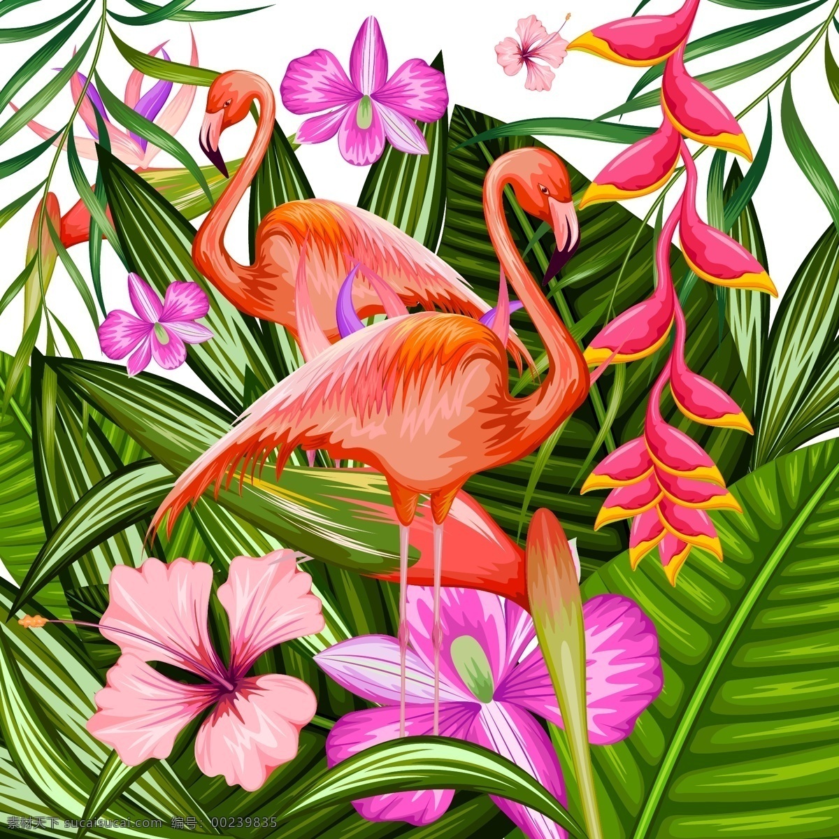 热带 植物 花卉 火烈鸟 火烈鸟装饰画 水彩牡丹 水彩画 水彩花 手绘花 无框装饰画 装饰墙 背景墙 欧式花纹 热带植物花卉 情侣火烈鸟 树枝 动物图案 水彩动物 印花 花边 手绘 卡通粉红色 装饰画 卡通动物 印花图案 火烈鸟手机壳 动物设计 水彩 flamingo 粉色 红鹳 火 粉红色鸟 独角兽 卡通设计