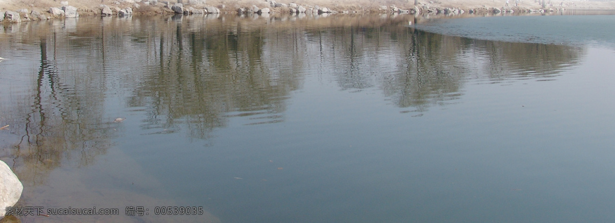 系列4 ps溶图素材 水环境 风景 河 水草 水面 植物 自然 水 ps溶图 岸边