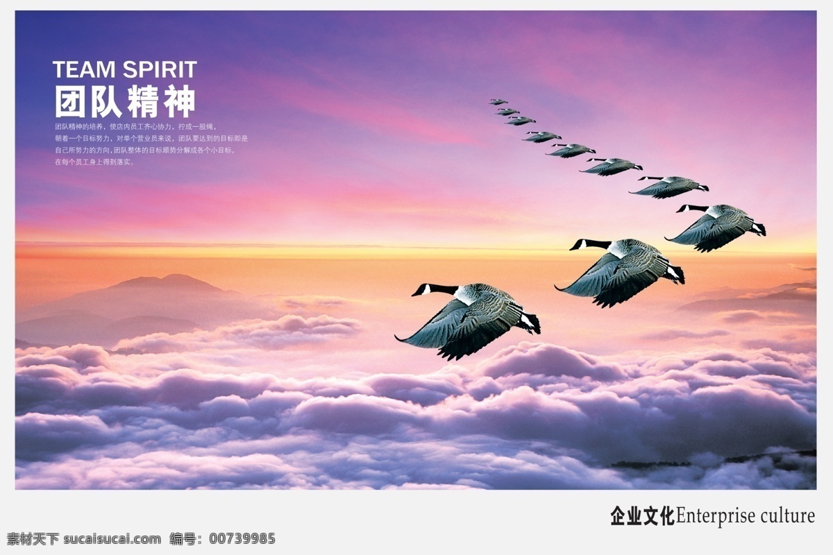 团队精神 大雁 蓝天 攀岩 画册 画册素材下载 画册模板下载 中国风 水墨山水 中国风素材 企业画册 企业文化 公司画册 企业形象画册 精品画册 品牌画册 创意画册 广告画册 茶画册 茶叶画册 中式画册 建筑画册 物流画册 宣传画册 高端画册 集团画册 画册设计