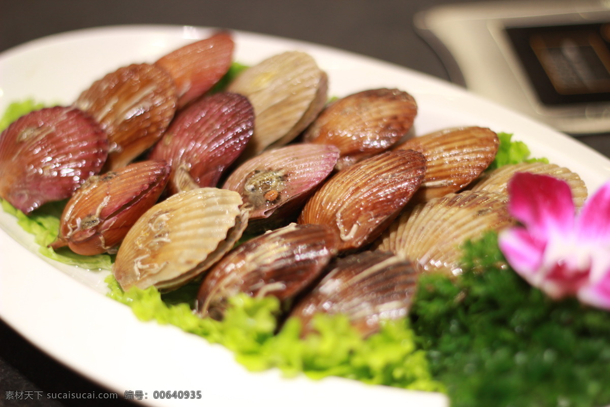 海鲜 贝类 扇贝 小红贝 红贝 餐饮美食 传统美食