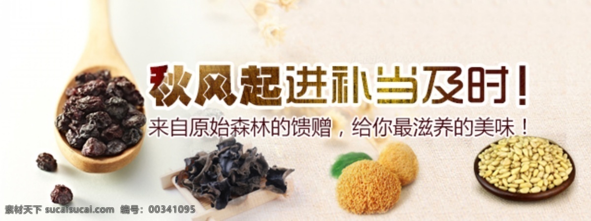 banner 果干 猴头菇 蓝莓果干 木耳 秋天 滋补 创意 广告图 平面图 分层