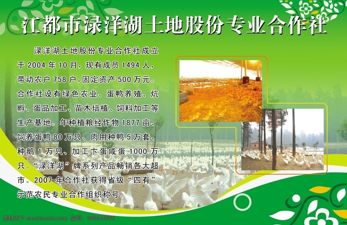 展板 分层 鹅 花纹 家禽 模板 企业简介 鸭 养殖场 戗牌 源文件 其他展板设计
