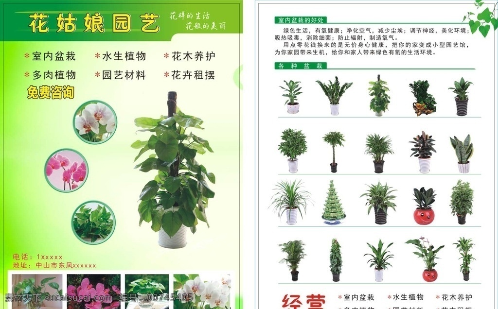 花姑娘园艺 园艺 植物 盘景 花店 室内盆栽 水生植物 园艺材料 花木